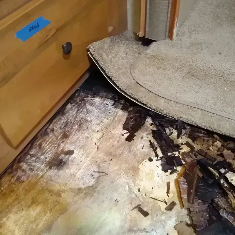 Best Wood Floor Water Damage Service in Forestdale, MA